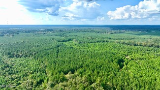 0001 Highway 51 SE, Bogue Chitto, MS 39629