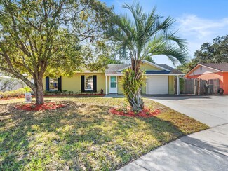 323 Meadow Sweet Ct, Ocoee, FL 34761