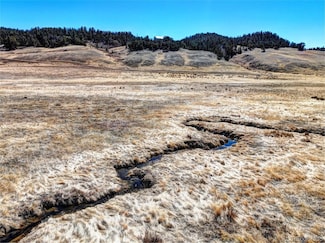 1757 Snyder Creek Rd, Jefferson, CO 80456