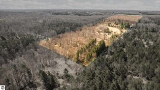 0 Cedar Creek Rd Unit 1933591, Fife Lake, MI 49633
