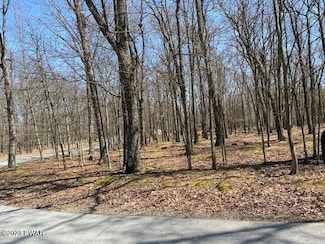 Lot 90 Deer Trail Dr, Lackawaxen Township, PA 18428