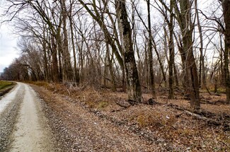 0 Pike 9203, Calumet Township, MO 63330