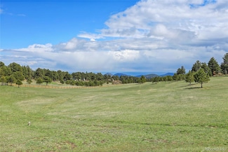 5166 Bear Mountain Dr Unit 1, Evergreen, CO 80439