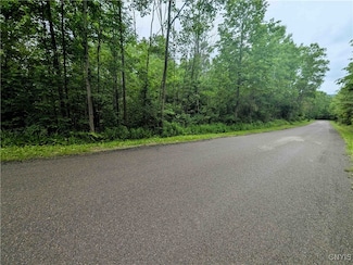 0 Bell Hill Rd, Lindley, NY 14858