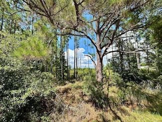 0 Oil Well Rd Unit MFRG5100577, Clermont, FL 34714