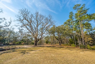 0 Whooping Island Creek Dr, Edisto Island, SC 29438