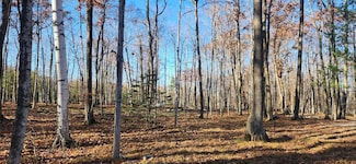 8113 Deer Ridge Ct, Baileys Harbor, WI 54202