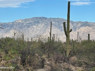 13935 N Como Dr, Tucson, AZ 85755