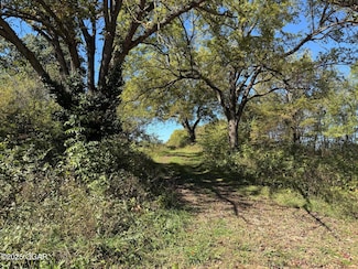 Xxx-B Teal Dr, Newtonia, MO 64853