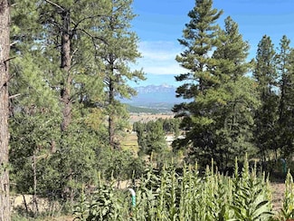 599 Pineview Rd, Pagosa Springs, CO 81147