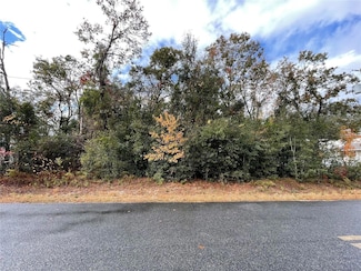 0 SE 92nd Terrace Unit MFRG5096948, Summerfield, FL 34491