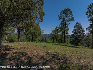 100 Tank Rd, Ruidoso, NM 88345