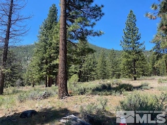3584 Knob Point Trail Unit 94, Carson City, NV 89705