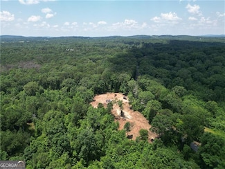 1 Round Top Rd, Ellijay, GA 30540