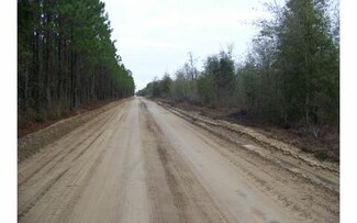 TDB SW 40th Ave, Jasper, FL 32052