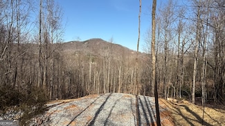 LOT 17 Chalet Dr, Sautee Nachoochee, GA 30571