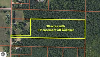 30 Acres Wallaker Rd, Benzonia, MI 49616