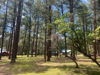2-98 Fairview Ln, Brazos, NM 87575