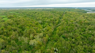 Bee Creek Rd Unit Lot WP001, Pearl, IL 62361