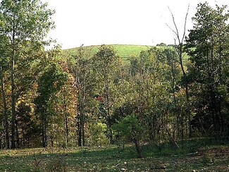 000 Reno Hollow Rd, Spokane, MO 65754