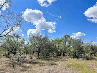 TBD Tba County Road 100, Abilene, TX 79601