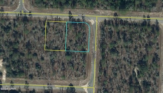 Lots 1 & 2 Tippet Dr, Chipley, FL 32428