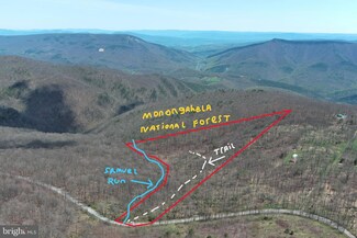 0 18 Acres Dolly Sods Rd, Cabins, WV 26855