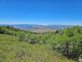 646 Woolf Hollow Rd Unit 646, Fairview, UT 84647