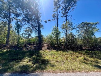 5129 Rilke Ln, Port Charlotte, FL 33981