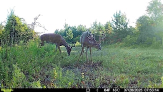 0 Fish Rd, Eastman, GA 31023