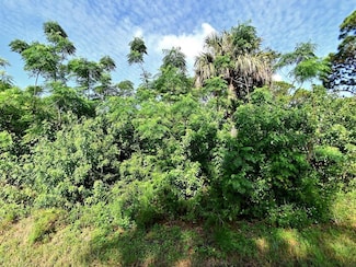 0 Oleander Ave, Fort Pierce, FL 34982