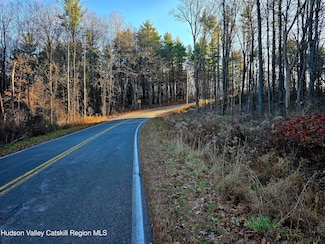 Lot 10 County Road 51, New Baltimore, NY 12124