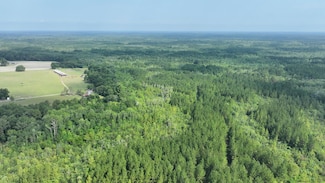 0 Woodrow Ln, Nahunta, GA 31553