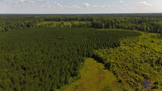 0 Palmetto Sands Rd, Branchville, SC 29432