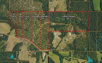 Parcel D 28 + - Acres Luther Carter Rd, Petal, MS 39465