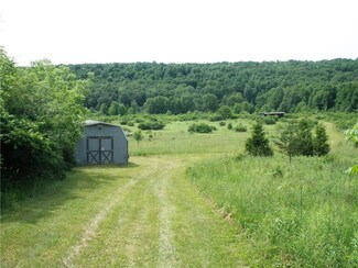 4567 Decamp Rd, Dundee, NY 14837