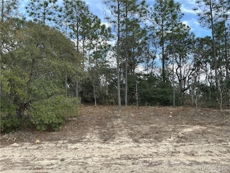 9595 N Wallace Way, Citrus Springs, FL 34433