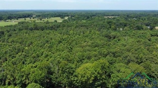 CR 1203 Central Rd, Daingerfield, TX 75638