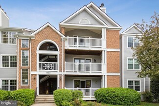 7503 Ashby Ln Unit D, Alexandria, VA 22315