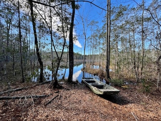 0 John Johnston Rd, Citronelle, AL 36522