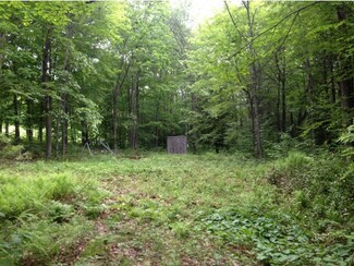 0 Griffin Rd, Franklin, NH 03235