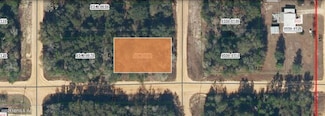0 Evans Ave Unit 2069683, Interlachen, FL 32148