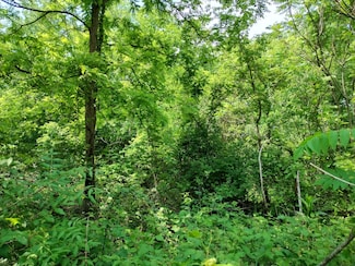 0 Briarwood St Unit 25002251, Otsego, MI 49078