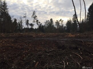 0 172nd Ave Kps Unit 1082424, Longbranch, WA 98351