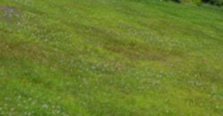 4966 U S 5, Barnet, VT 05050