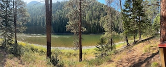 Lot 35 Donlan Flats Rd, Saint Regis, MT 59866