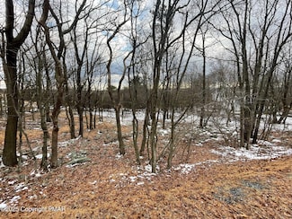 805 Dogwood Terrace, Indian Mountain Lake, PA 18210