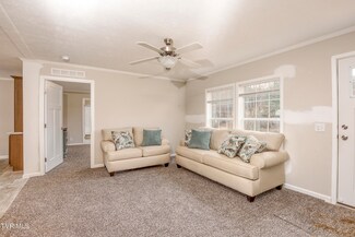 8460 Reedy Creek Rd, Bristol, VA 24202