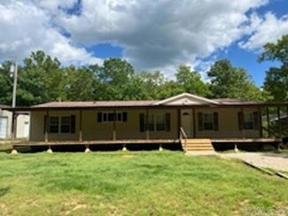 81 Wildwood Dr, Ash Flat, AR 72513