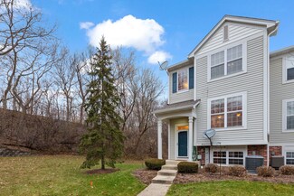 312 Terra Springs Cir, Volo, IL 60020
